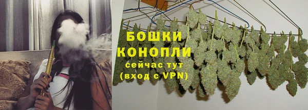 дурь Елизово