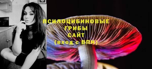 стафф Балахна